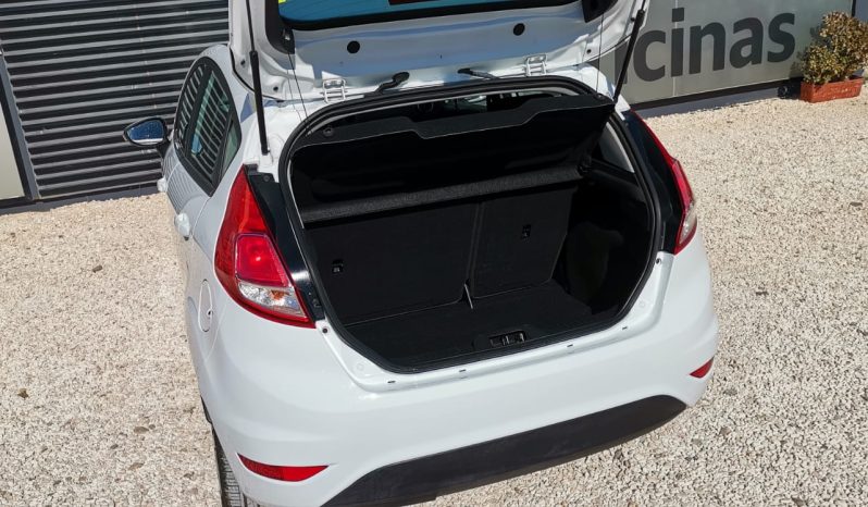 Ford Fiesta 1,5 TDCI 75cv Trend full